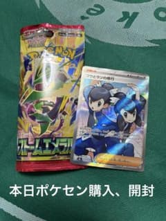 ポケモンカード フウとランの修行 SR