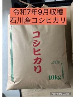 令和7年9月収穫 石川県産コシヒカリ 20kg (10キロ✖︎2) - メルカリ