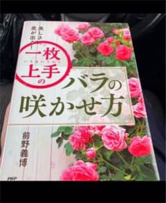 一枚上手のバラの咲かせ方 美しさに差が出る!のサムネイル