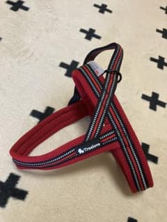 J&C paradise XS メッシュハーネス レッド　TRUELOVEのサムネイル