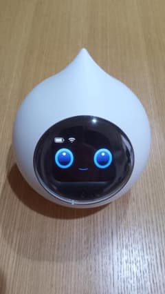 Romi Lacatan モデル　ロミィ　AI会話ロボット　mixiのサムネイル