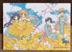 韓国限定 キンプリ キンツア 17周目特典 レンチキュラーフォトカード 韓国限定 キンプリ キンツア 17周目特典 レンチキュラーフォトカード