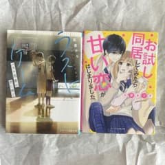 漫画28冊+小説2冊セット 小説2冊セット - メルカリ