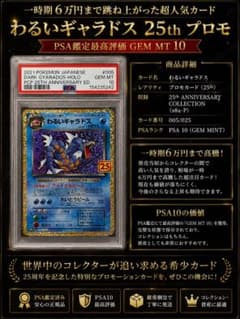 【超目玉商品】わるいギャラドス 25th プロモ PSA10のサムネイル