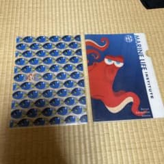 파인딩 돌리 클리어 파일 2장 세트