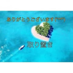 ジェラトーニ クリスマス 31日までお取置きのサムネイル