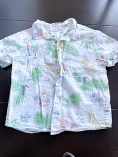 お洒落　南国Tシャツ　ZARAのサムネイル