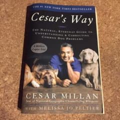 Cesar's wayのサムネイル