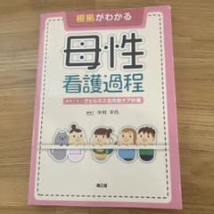 根拠がわかる母性看護過程 事例で学ぶウェルネス志向型ケア計画のサムネイル