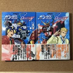 機動戦士ガンダムSEED DESTINY ASTRAY 上下のサムネイル
