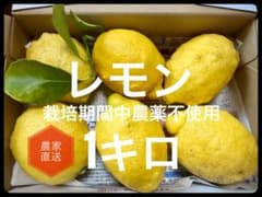 新鮮！訳あり瀬戸内レモン 広島県産約1キロ - メルカリ