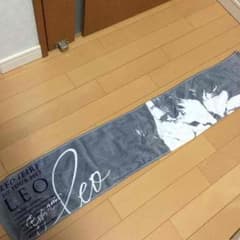 家入レオ マフラータオルのサムネイル