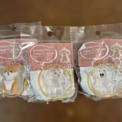 わんこのタイムカプセル ガチャ　3個セットのサムネイル