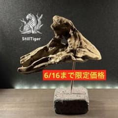 流木アート】 A1 一点物 オブジェ ハンドメイド インテリア - メルカリ