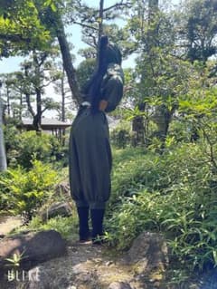 立花仙蔵 ウィッグのサムネイル