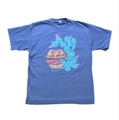 Arizona ネイティヴアメリカン　サボテン USA Tシャツ ヴィンテージのサムネイル