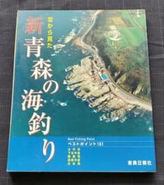 空から見た　新青森の海釣り　ベストポイント181のサムネイル