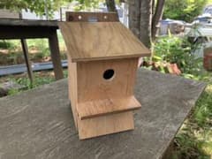 巣箱　鳥　シジュウカラのサムネイル