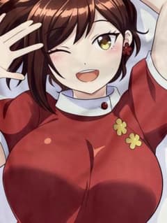 正規品】 しょうたいむ みなみ お姉さん 抱き枕カバー - メルカリ