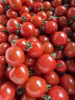 北海道産　ミニトマト 訳あり 北海道産 ミニトマト 訳あり 6kg(3kg×2) - メルカリ