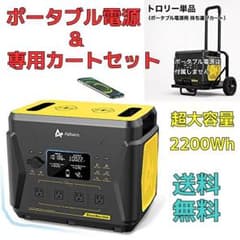 超大容量 2200Whポータブル電源 AlphaESS Blackbee2000 超大容量 2200Whポータブル電源 AlphaESS Blackbee2000 - メルカリ