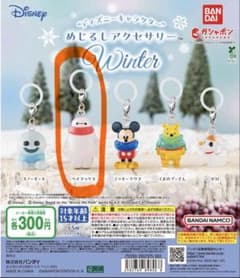 ディズニー めじるしアクセサリーのサムネイル