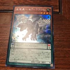 セフィラフウシ シクのサムネイル
