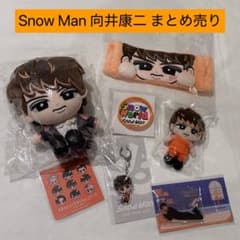 Man 向井康二 アクスタ&チルぬい&スノチルセット Snow Man 向井康二 すのチル ぬいぐるみ アクキー アクスタ まとめ売り