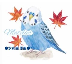 セキセイインコの絵　水彩画　原画　癒し　鳥の絵　紅葉　秋のサムネイル