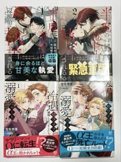商業BL漫画　異世界ファンタジー系　まとめ売りのサムネイル