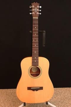 Sierra ST10 ギターのサムネイル