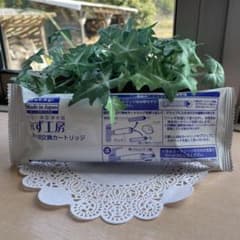 専用ページ♡『2個セット』のサムネイル