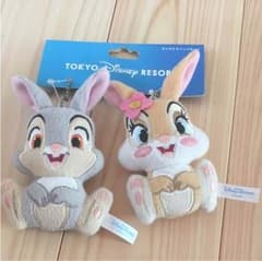 ディズニー土産のサムネイル