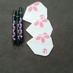 消耗品桜のサムネイル