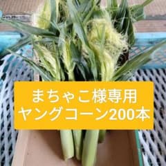 ヤングコーン　まちゃこ様専用のサムネイル
