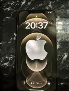 あきら様専用★iPhone 12 Pro Maxのサムネイル
