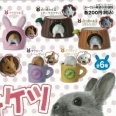ゆま プロフィール必ず読んでください！様専用 - メルカリ