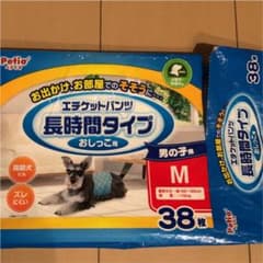 犬用オムツのサムネイル