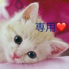 ゲンジィ様専用 取替式 防じんマスクのサムネイル
