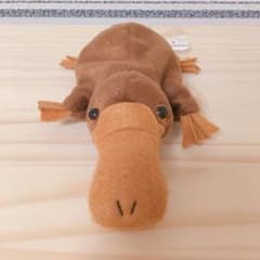 カモノハシ ぬいぐるみ 動物のサムネイル