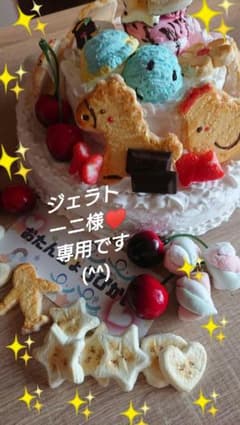 ジェラトーニ様専用です(^^)✨のサムネイル