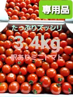 専用品 農家直送 香川県産 [訳あり] ミニトマト 3.4kgのサムネイル