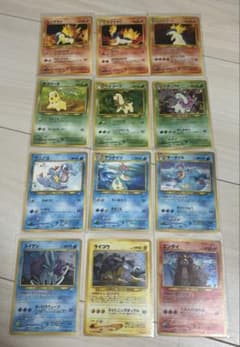 まとめ売り】ポケモンカード 旧裏 neo 御三家プレミアムファイル・三犬