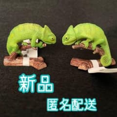 MINIATUREPLANET ミニチュアプラネット　カメレオンのサムネイル