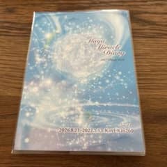 マヤ暦ダイアリーカバー付きB6手帳サイズスケジュール帳日記