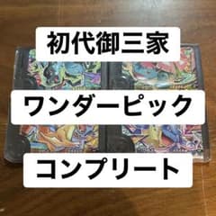 【週末セール】ポケモンフレンダワンダーピック　リザードンフシギバナカメックスのサムネイル