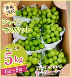 長野県産　シャインマスカット大房5キロのサムネイル