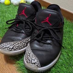 Nike Jordan Trainer ST G Golf 25.5cmのサムネイル