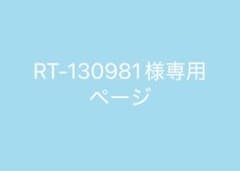RT-130981様専用ページのサムネイル