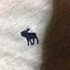アバクロ Tシャツのサムネイル